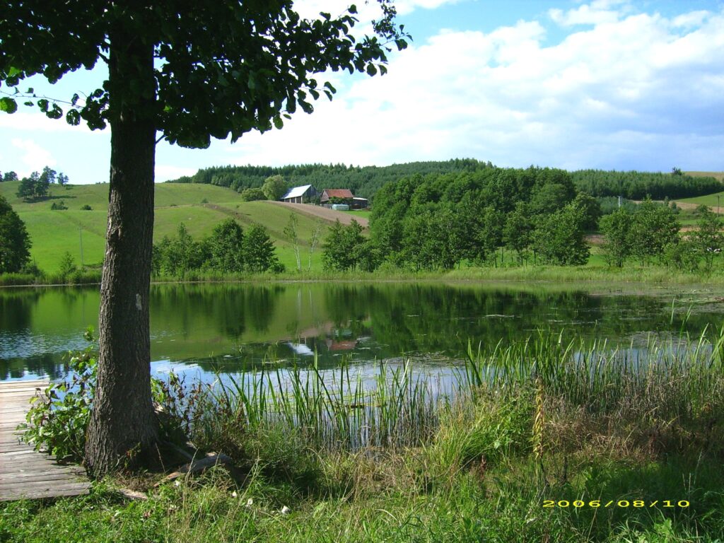 psychoterapia z pobytem