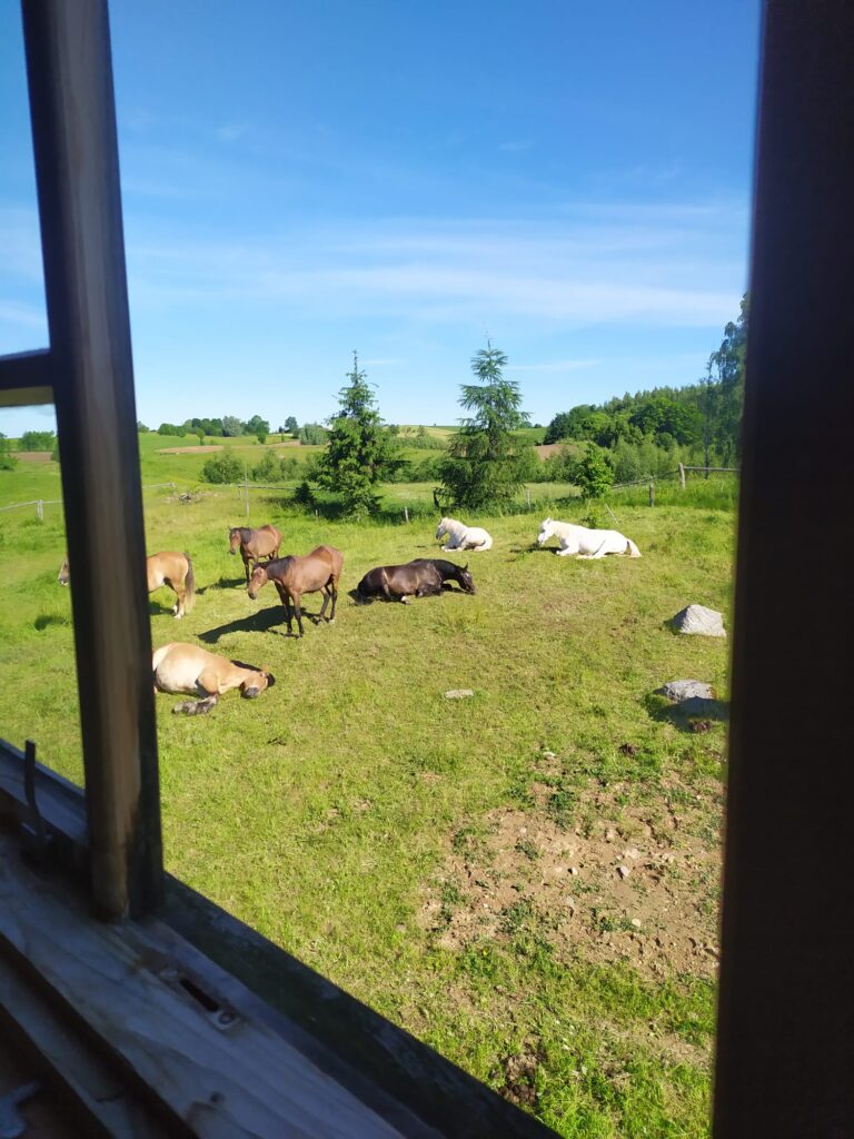 ośrodek Konie i Ludzie