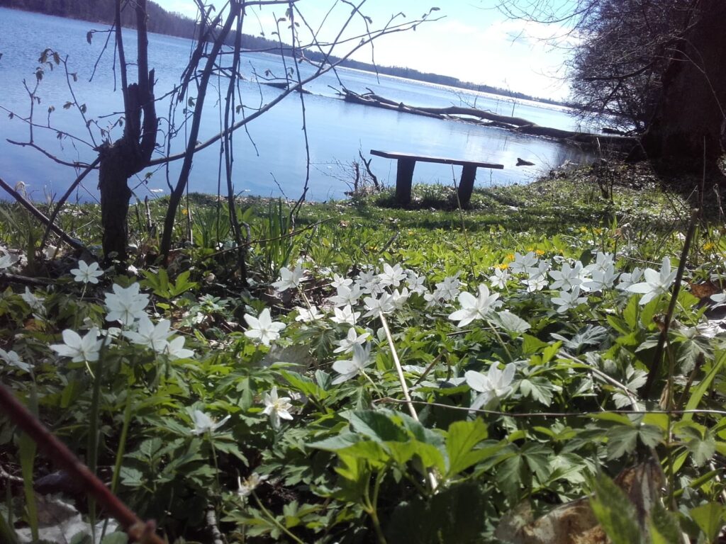 pobyt antystresowy z psychoterapią