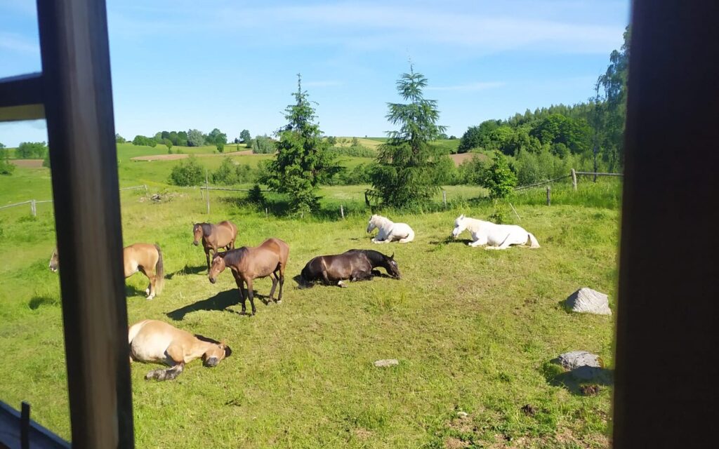 pobyt antystresowy z psychoterapią
