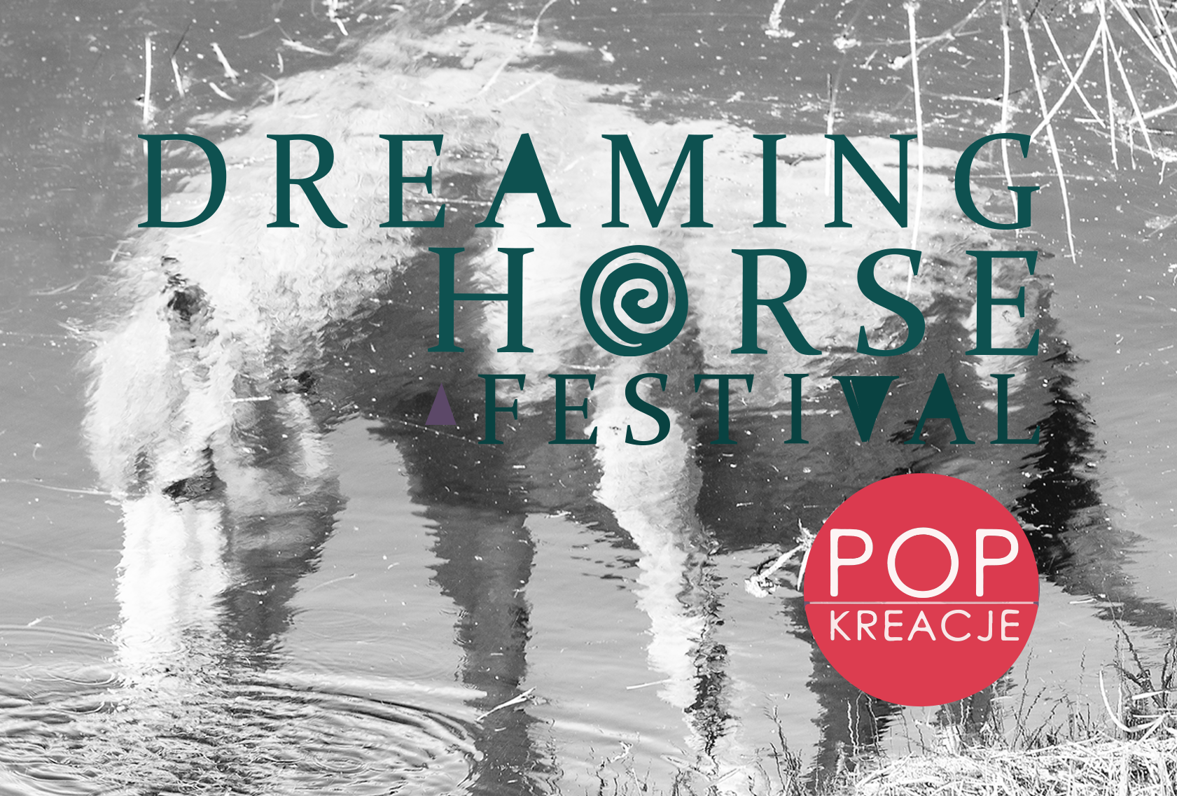 POP KREACJE 2024 suwałki