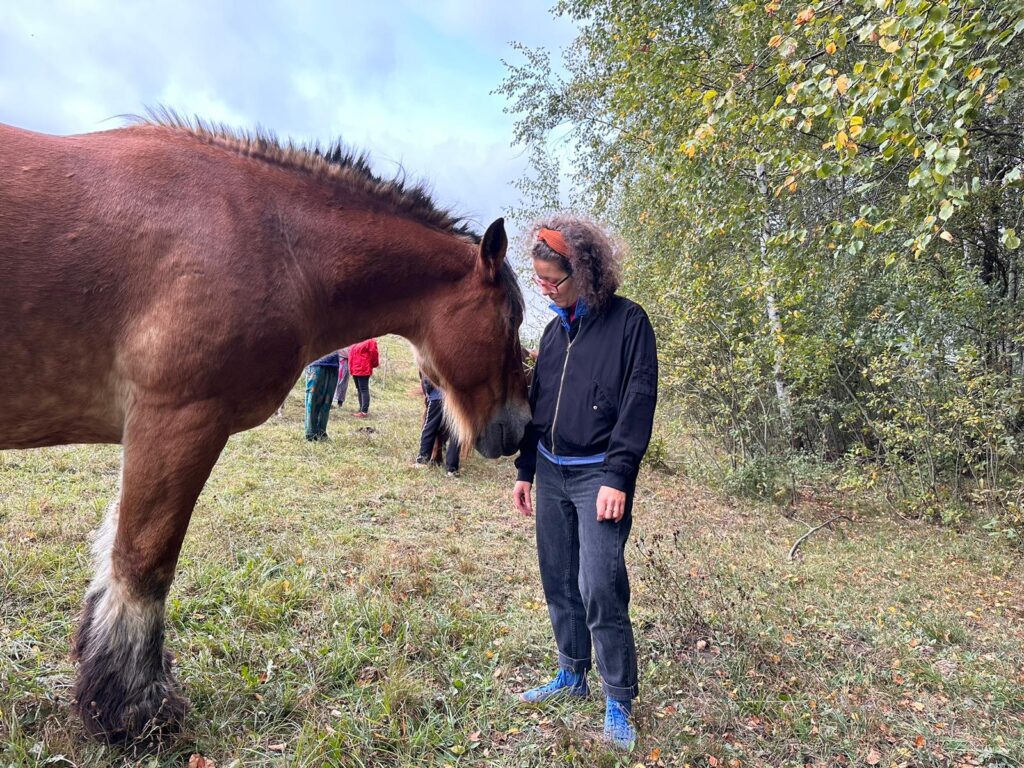 dreaming horse festiwal