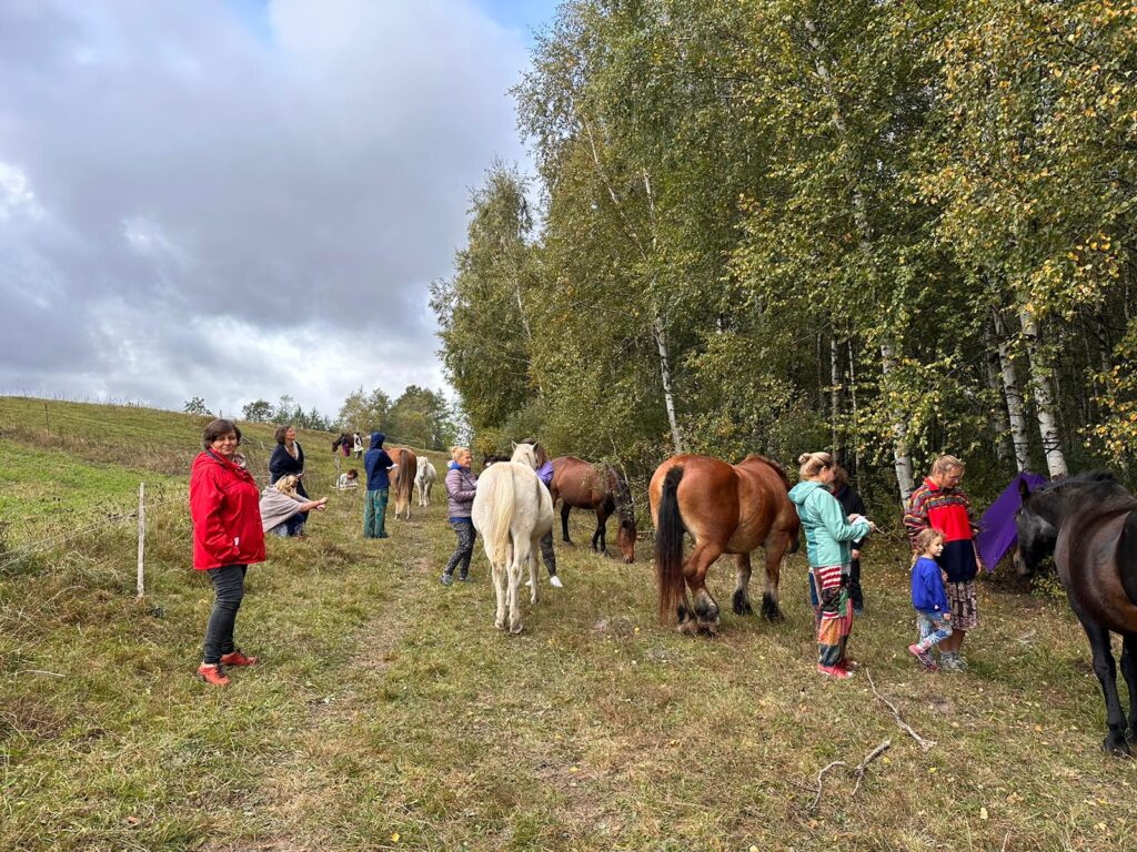 warsztaty rozwojowe z końmi