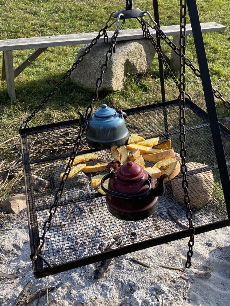 warsztaty rozwojowe z końmi